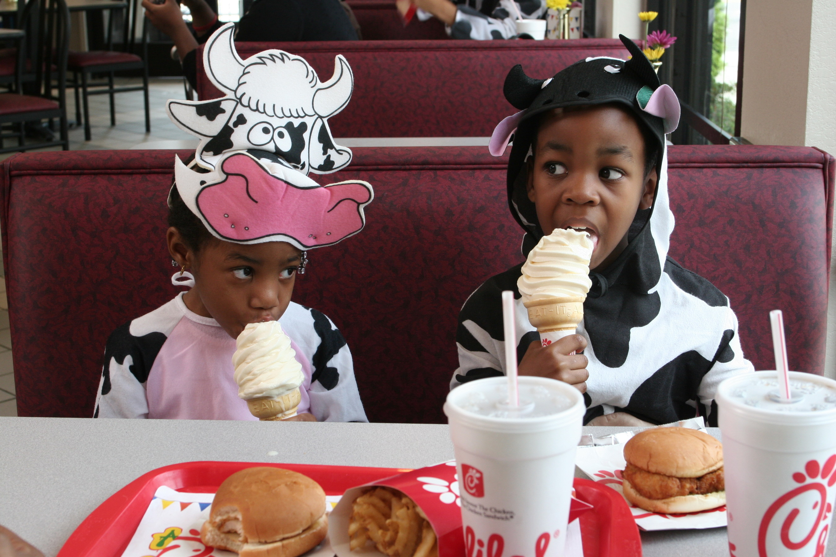 how-to-make-super-easy-chick-fil-a-cow-appreciation-day-costumes