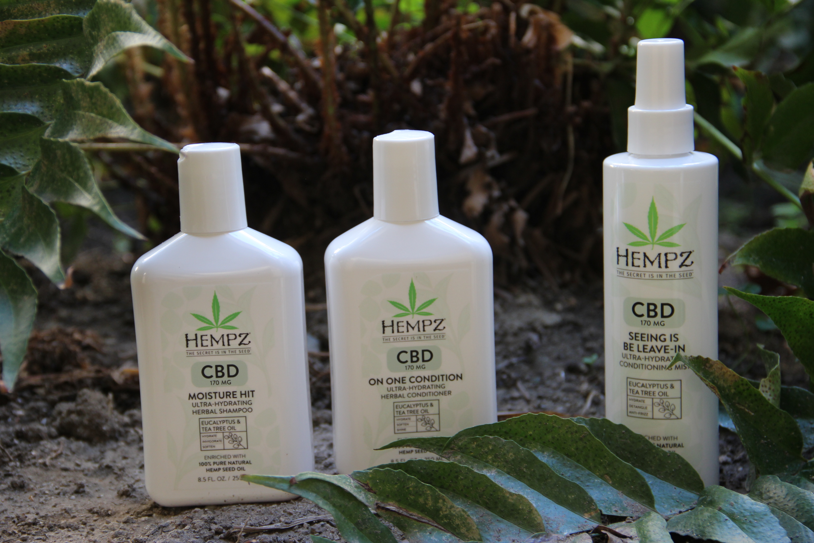 Haircare Spotlight HEMPZ CBD Line Is Nourishing LATF USA