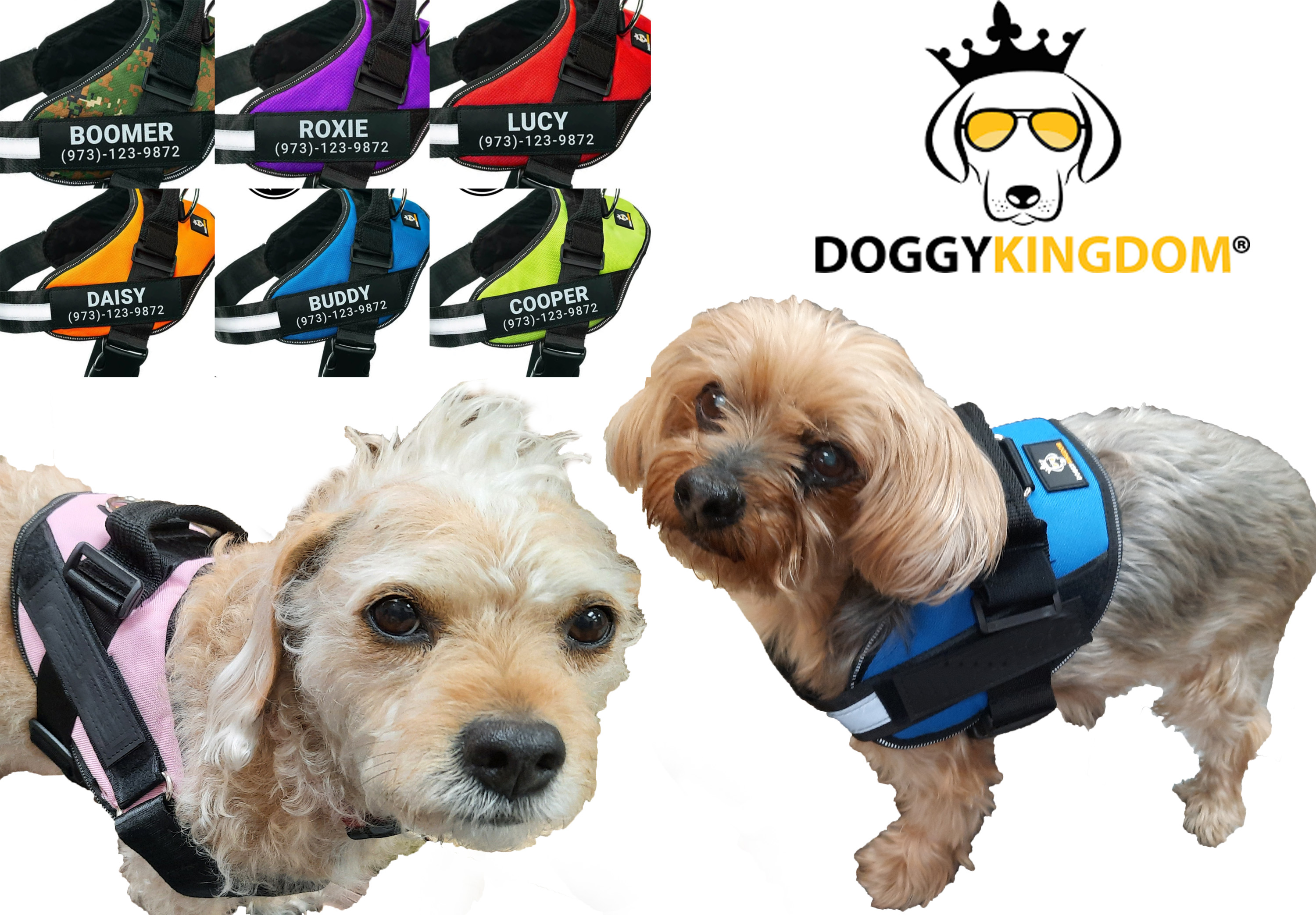 dog kingdom harness