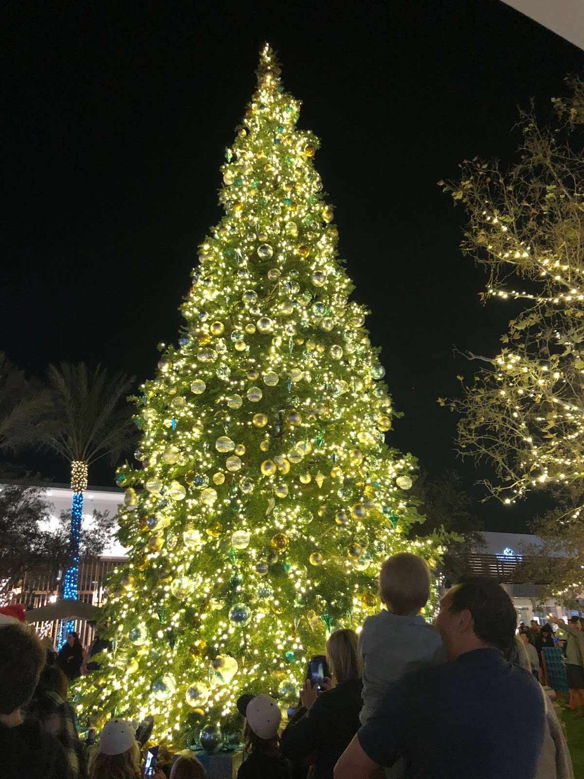 Photo courtesy of 2ND & PCH. tree lighting