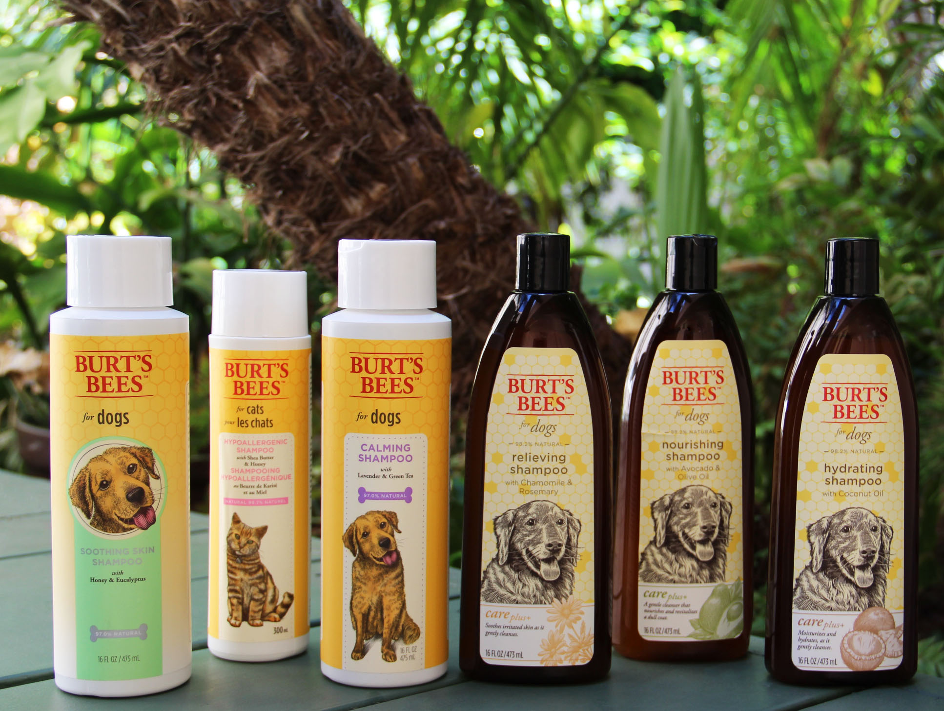 Burt Bees Products