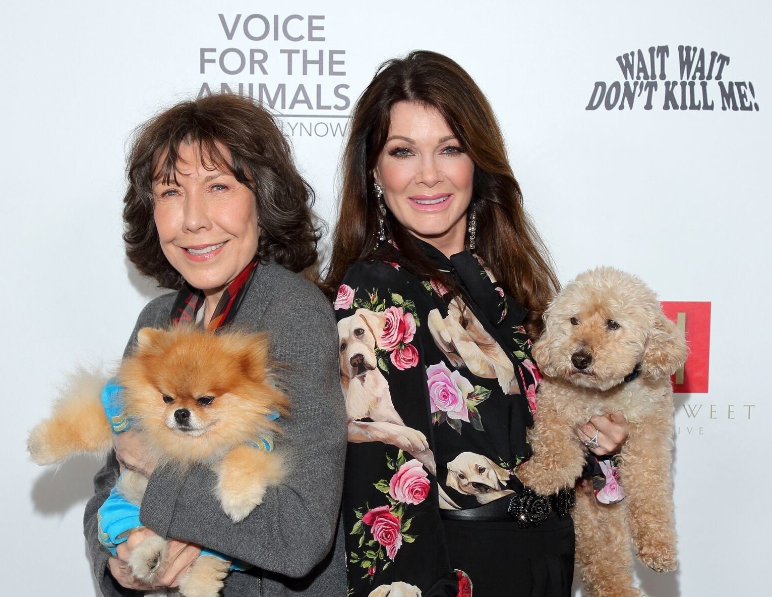 voice for animals foundation, lily tomlin