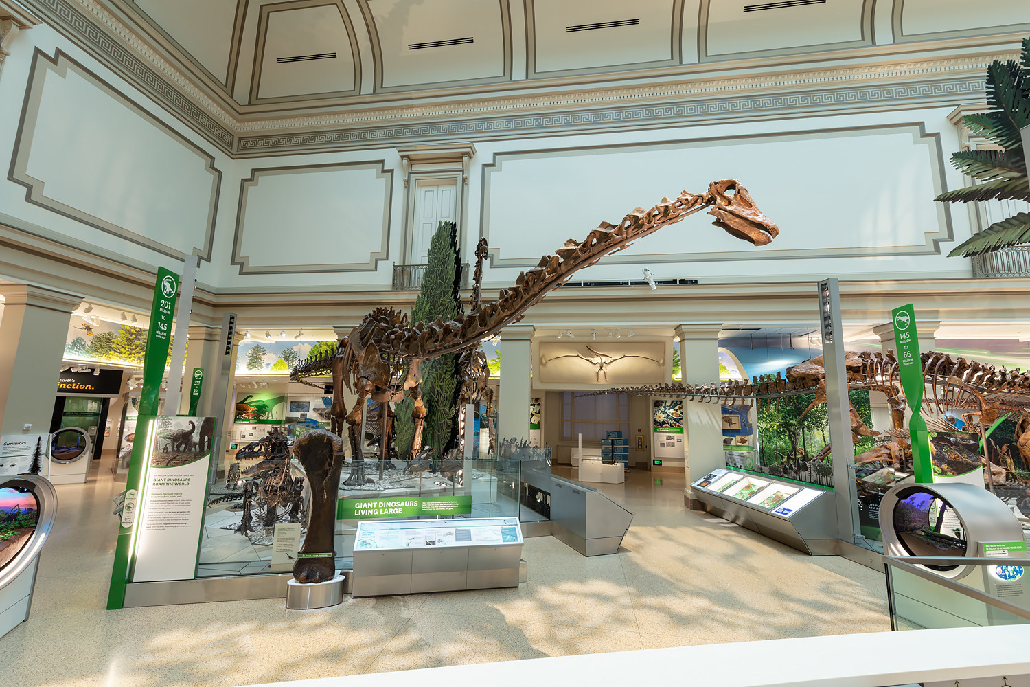 smithsonian museum dinosaur hall
