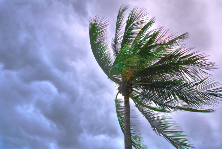 eei hurricane safety tips, laura and marco storm