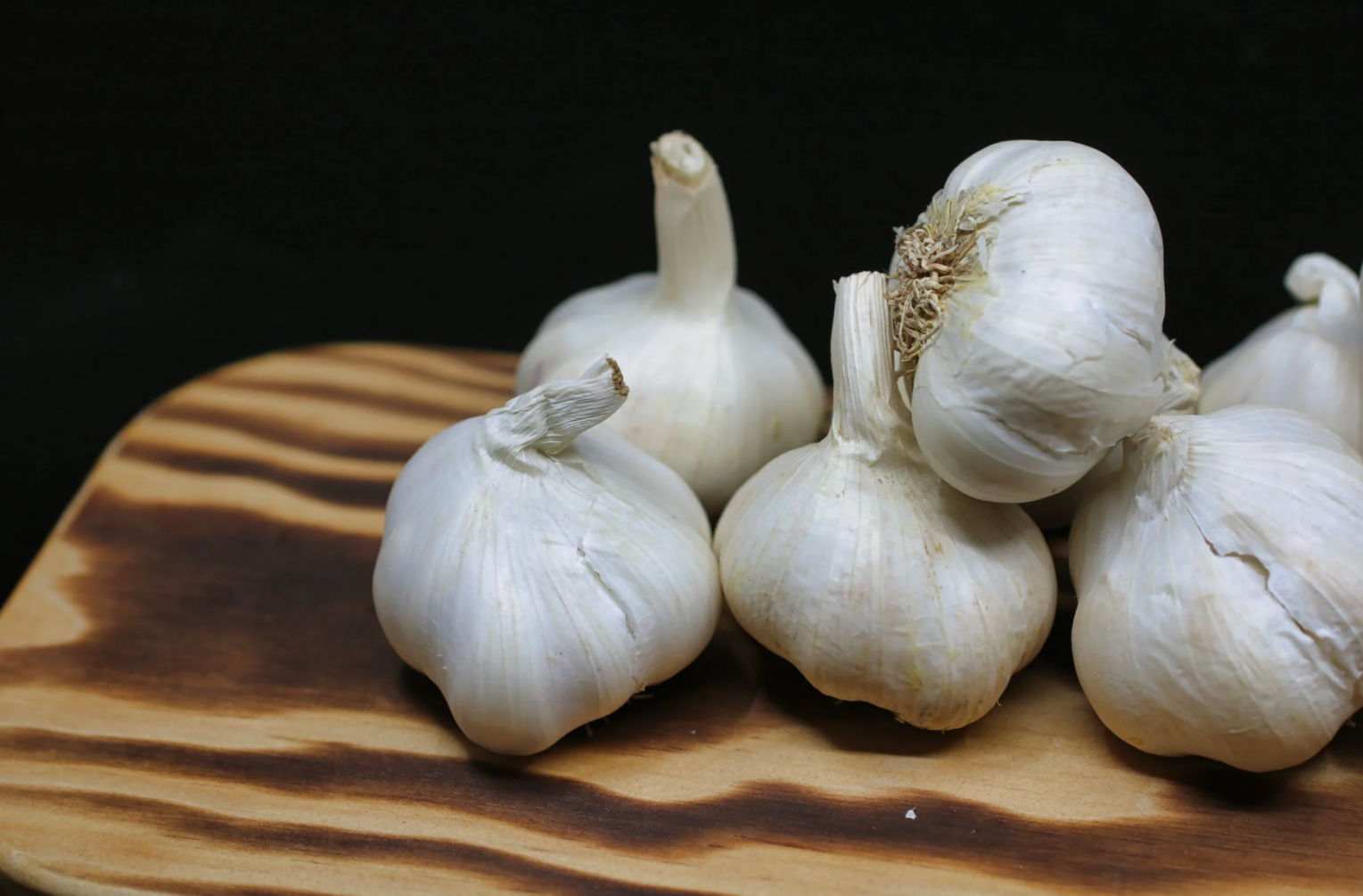 garlic, dr. vikki petersen
