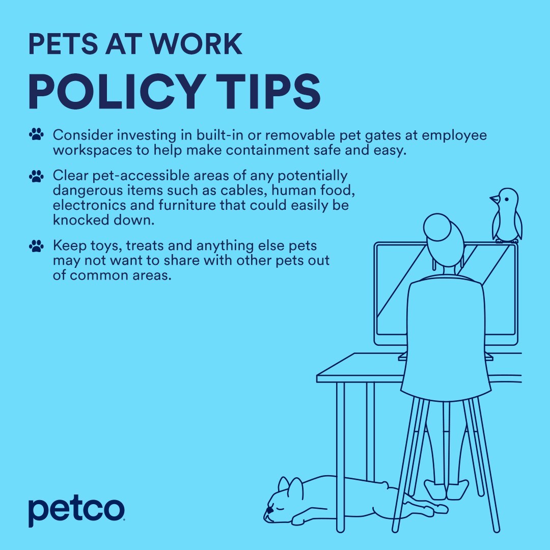 pets at work, office pets, dog, petco