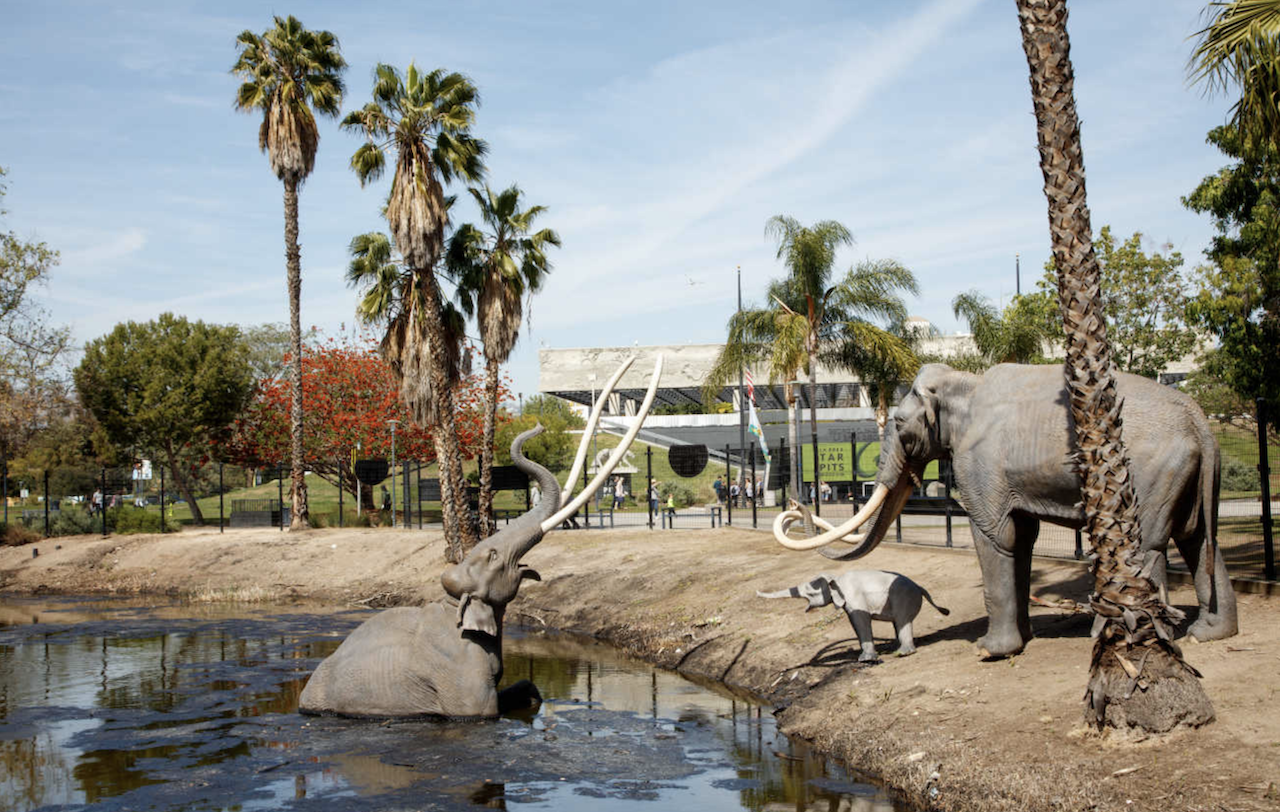         Los Angeles County Museums of Natural History Announce Fall Programming