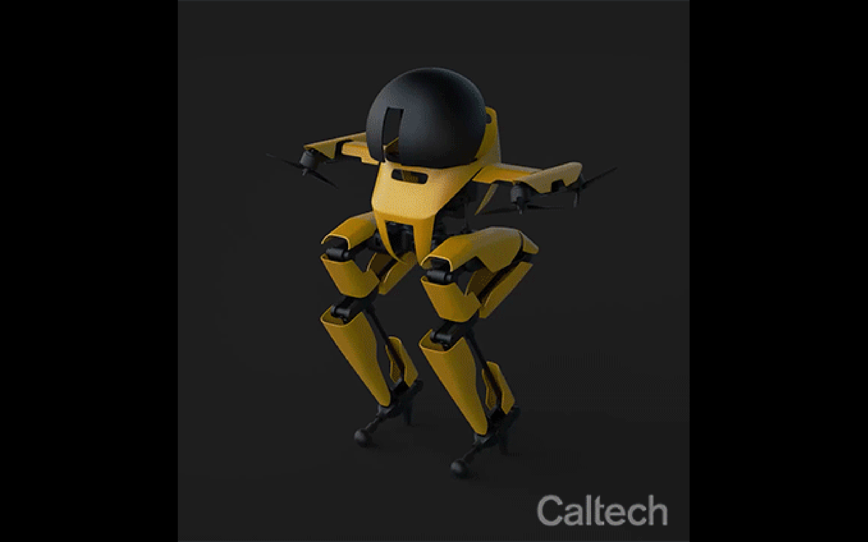 robot, caltech, leo