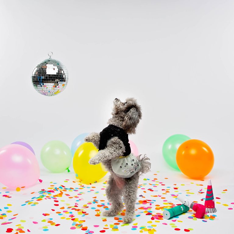 PetSmart Launches New Year’s Eve Tuxedos For Pets LATF USA NEWS