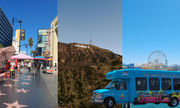 hollywood bus tours