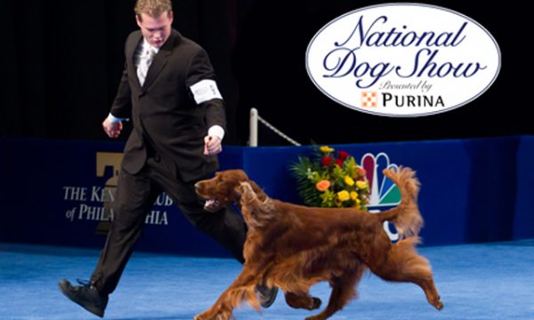 20121120161707Dog_Show