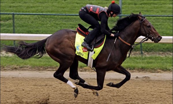 20130505132239Orb_Kentucky_Derby