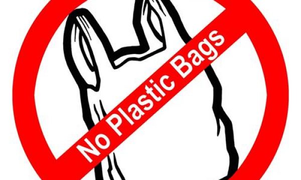 20130619111906Plastic_bag_ban