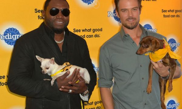 PEDIGREE DAVID ORTIZ AND JOSH DUHAMEL