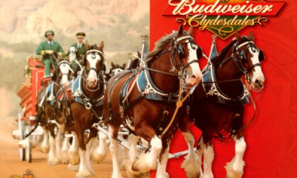 20140201190741Budweiser_Commercial