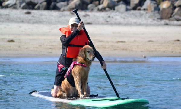 2015-surf-dog-classes-linzie-2