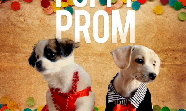 20150428195049Puppy_Prom