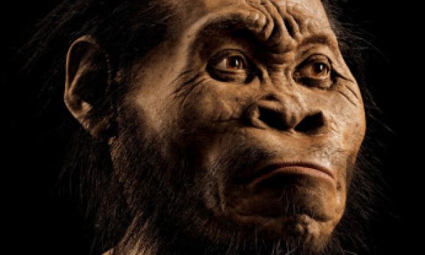 20150910120526Homo_Naledi