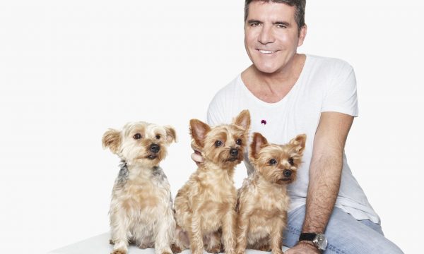 Cruelty Free International Simon Cowell