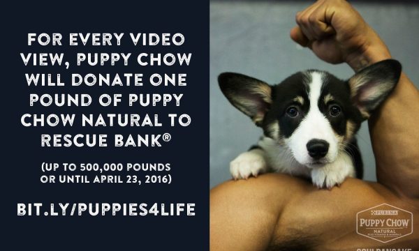 Purina Puppy Chow Natural (PRNewsFoto/Purina Puppy Chow)