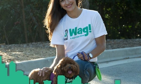 Wag National Dog Walker Day