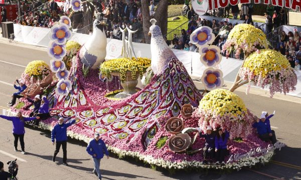 rose parade floats