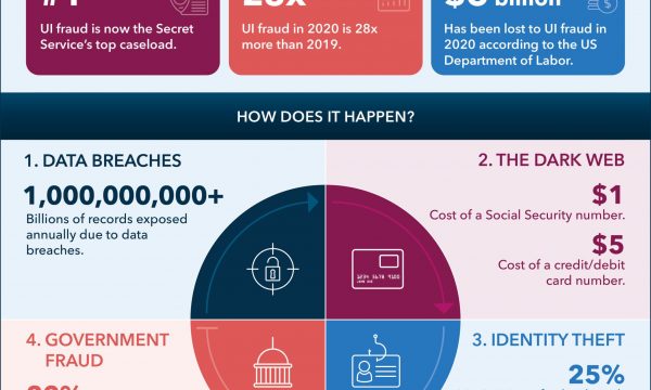 4 Steps InfoGraphic Infographic