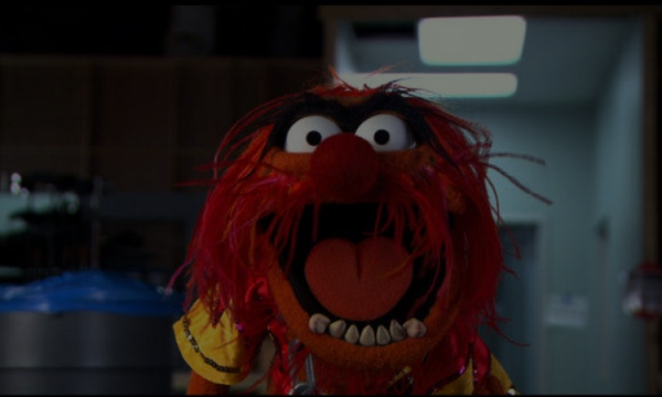 Disney’ “Muppets Most Wanted”