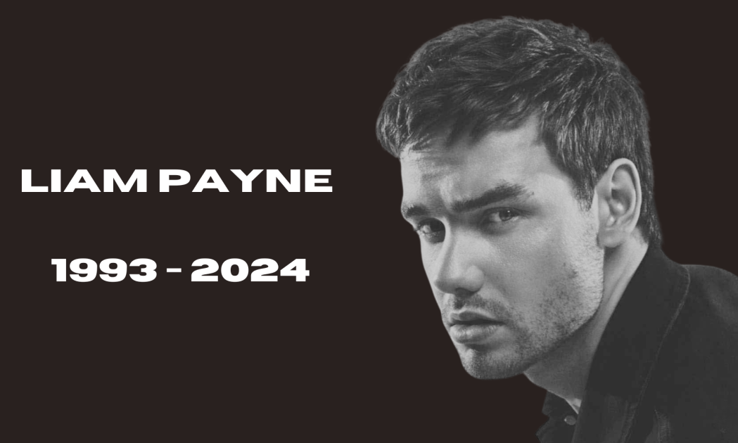 Liam Payne 1993 - 2024