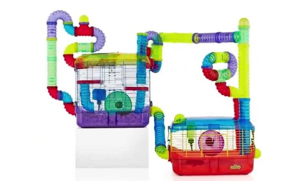 There's A Hamster Ball Derby Day At Petco