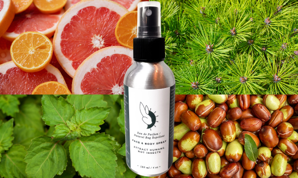 bug spray, moon rabbit acupuncture