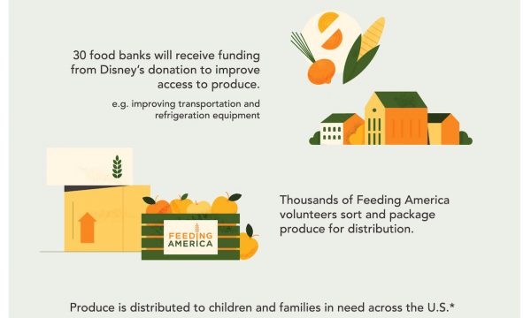 Feeding America - OTV Infographic