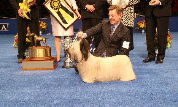 The National Dog Show Presented by Purina - 2015