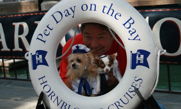 pet-day-on-the-bay-two-dogs