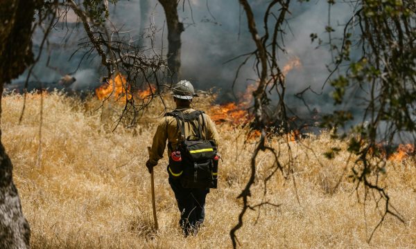 intuitdome aeg and live nation benefit concert for la fire