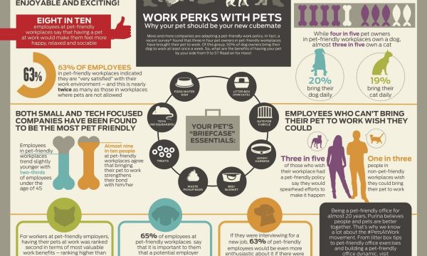 Purina Pets at Work Report Infographic